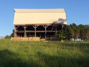 grand old barn